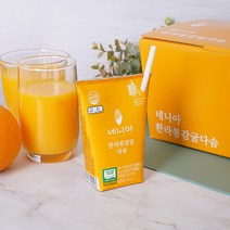 네니아 한라봉감귤다솜 125ml x 40개