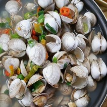 자연산 서해안 동죽조개 모시조개 물총조개 1kg