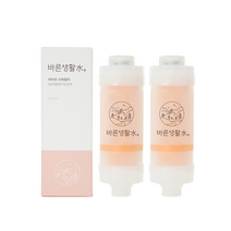 바른생활수 녹물 염소 제거 비타민 샤워필터, 피치 x 2개