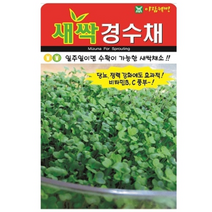 [소포장] 은은한 향과 순한맛 새싹 경수채 씨앗 30g