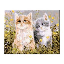 모모픽스페인팅 diy 명화그리기 40x50cm G05 들꽃고양이 물감2배 아크릴 유화