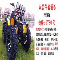 4륜 오프로드 산악전동 ATV 바이크 산악용 스쿠터, 12.大公牛沙滩车套餐6（挂档版）