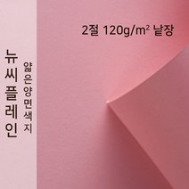뉴씨플레인 종이문화 얇은 양면색지 120g 2절 낱장 1매 No.32 카네이션핑크, 1장