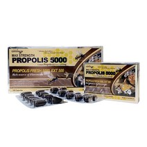 호주 네이쳐스 그린웨이 프로폴리스 5000mg 120캡슐 PROPOLIS 플로폴리스 면역력 캡슐 알지알지몰 2개 세트