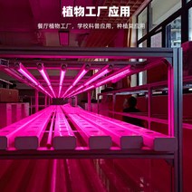 가정용 식물재배기 수경재배기 식물 재배기 무토재배설비 부품 베란다농장 배관수배양기 자동화수경채소, 옵션01, 중간 정도