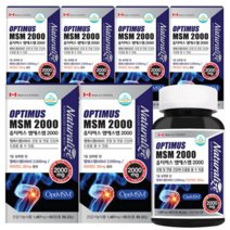 캐나다 옵티MSM 2000 OptiMSM 연골 무릎 관절 영양제 MSM 엠에스엠, 60정, 6박스