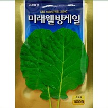 아시아종묘 케일 씨앗종자 맛짱케일 1000립, 1개