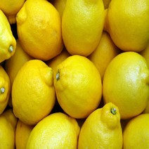 레몬 정품 팬시레몬 1kg 2kg 5kg 10kg 17kg, 05.흠과/1kg, 소과