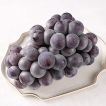 고당도 김천 경산 하우스 거봉 1kg, 1kg(2수)