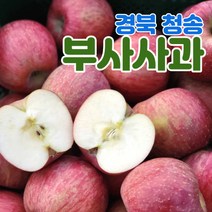 산지직송 경북 청송 사과 부사 5kg 10kg 가정용 정품 중소과 중과 대과, 정품용_부사, 10kg_중소과