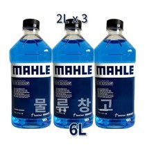 말레 에탄올 워셔액 청포도향, 6개, 6L