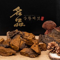 상황버섯/70년산 500g/자연산 정품 산뽕나무상황버섯/절편발송 고급포장, 1개