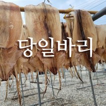 선동 마른 오징어 건오징어 5-20마리 다양한 크기, 마른오징어, 당일바리 마른오징어 대 10마리 (850g)