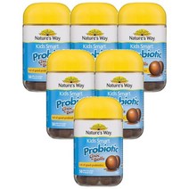Natures Way 네이처스 웨이 아이들용 스마트 프로바이오틱 유산균 초코볼 For Children Smart Probiotic Choc Balls 50개, 6개