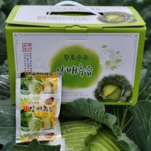 듬뿍농원 겉잎까지 찐하게 달인 무안 양배추즙 100포 100ml