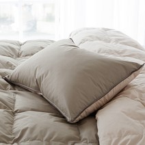 라뽐므 오폴레 구스 베개 50x70 2p, 다크그레이