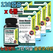 뉴질랜드 내츄럴라이즈 그린 머슬 글루코사민 1000mg X 120정 X 6개 1년치 naturalize green muscle clucosamine 관절 연골 건강에 도움, 1통