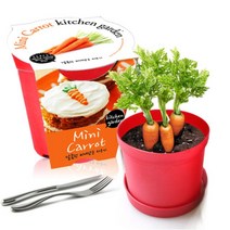 [천삼백케이] [농업회사법인 세경팜 주식회사] 세경팜 컬러키친가든 미니당근 식물키우기 텃밭가꾸기, 그레이, 스윗바실