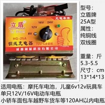 [Lidun] 100% 완전 구리선 25A 유형 8v12v16v24v 가변 변압기 배터리 충전기 제조업체, Lidun 100% 구리선 25A형 충전기