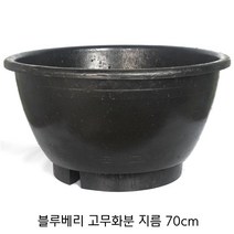 원형 고무화분 70cm 블루베리 나무 텃밭 옥상