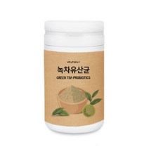 녹차 유산균 프로바이오틱 균주 락토바실러스 플란타럼 FOS 먹는법 분말