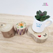 와요또 자연나무 통나무 슬라이스 우드데코 원목장식 트레이, 중(1개)