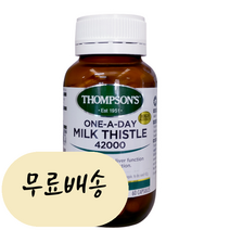 밀크씨슬 42000 60캡슐 약2달 고함량 엉겅퀴 뉴질랜드 톰슨 구입처 판매처, 60정