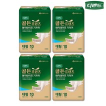 디펜드 골든프렌즈 겉기저귀 매직 대형 10매x4팩(40매) 성인용기저귀, 10개