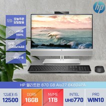 HP 엘리트원 870 G9 AIO 12세대 I5-12500 윈10프로 QHD 27인치 올인원 PC, i5-12500/16GB/1TB/WIN10 Pro