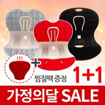 트러블체어 + 냉온찜질팩 자세교정 좌식의자 허리건강 등받이 의자 행사, 레드+그레이