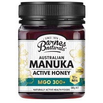 바네스 Barnes Naturals 호주 마누카 꿀 500g MGO 300+