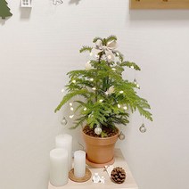 아라우카리아 중품 빤짝이 오너먼트 크리스마스트리 키우기 쉬운 멋스런 실내 화초 식물 카페 인테리어 공기정화, 화이트, 3.폼폼(레드), 1개