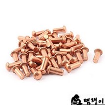 기타 땜쟁이 동리벳3*8(200개) 솔리드리벳, 1개