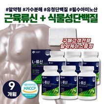 근육보충제 류신 단백질 타블렛 BCAA 식물성 저분자 단백질 보충제 알약 WPH 가수분해 유청 단백질 프로틴 L로이신 MBP 완두단백 WPC LEUCINE 남성 근육키우는법, L-류신 동식물종합단백질 90정(45일분) x 6통