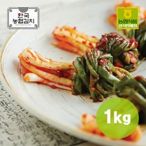 농협식품 국내산 100% 한국농협김치 파김치 1kg