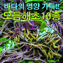 해초 샐러드 염장10가지 500g 3개 완도 국내산 꼬시래기 과메기 무침 다시마 해초국수