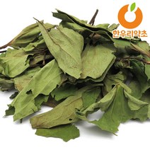 삼백초 차 국산 400g 효능, 삼백초차400g, 1개