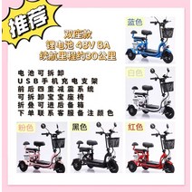 다인승 오토바이 삼륜 전동차 세발 전기 스쿠터 미니 카트 미니 노인 장애인, 48V, 2인승 8A 30km (색상별도선택가능)