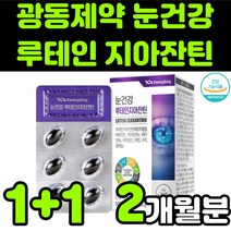 광동제약 뉴테인 루테린 LUTEIN 지아잔틴 제아잔틴 ZEAXANTHIN 마리골드 꽃 헤마토코쿠스 빌베리 추출물 포도씨유 50대 60대 부모님 눈 안구 건강 노안 노화 영양제 추천, 2박스(2개월분)