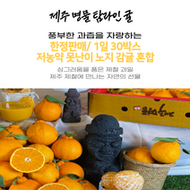 [일일30박스]실속구매 탐라인 제주 저 농약 못난이 노지감귤 혼합과 5kg 10kg