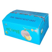 세론이 메론5kg 고당도12브릭스 나주멜론, 3개입