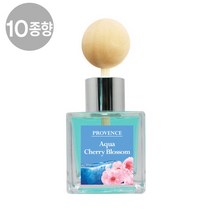 [더허브] 프로방스 카 디퓨져 50ml /10종향 1+1, 그레이프프룻:레드프룻