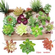 정원 뜰 인테리어 12 개 인공 녹색 보라색 빨간색 몰려 다육 식물 DIY 홈 가든 오피스 웨딩 장식 미니 분재, 01 random