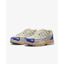 [국내매장판] 나이키 P-6000 남성 운동화 런닝화 FJ5443-113