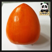 (나무판다) 대봉시 감나무 묘목 결실주 분, 대봉시 결실주(분), 1개