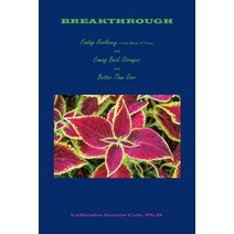 (영문도서) Breakthrough: Finding Resiliency in the Worst of Times and Coming Back Stronger and Better Th... Paperback, Xlibris Us, English, 9781669824411