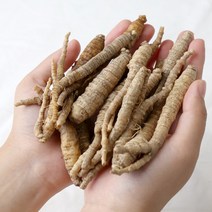 한라산더덕 세척 하품 10kg, 단품