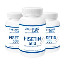 리브영랩스 피세틴 순도 99% 500mg 60캡슐 3병