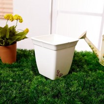 정사각화분 3호 꽃화분 분갈이화분 실내화분