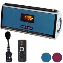 DY-1004 휴대형 블루투스 앰프 스피커 강의 행사 무선마이크 (타입/칼라선택)- STM, RED, 기본B타입